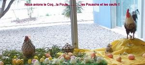 2013 04 01 AOBR LA CIOTAT LA PAELLA DE PAQUES (2)
